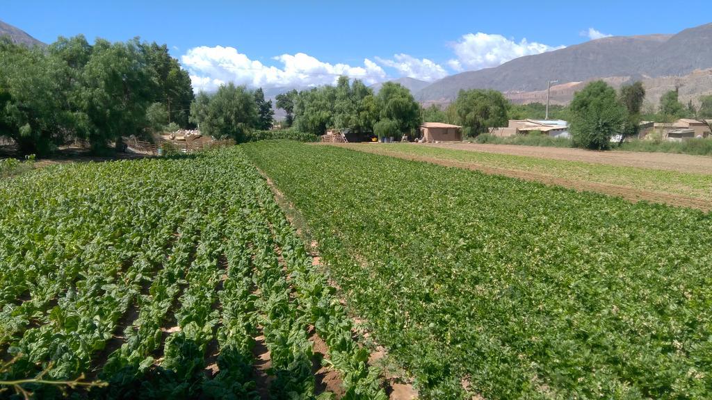 Apartamento Inti Raymi Maimará Exterior foto